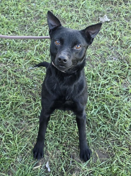 Berry - black is beautiful