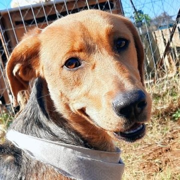 Mokka-liebe kleine Menschenfreundin