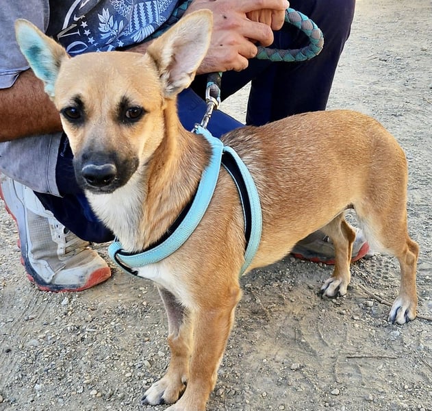 Margarita, aufmerksam, lernwillig und neugierig