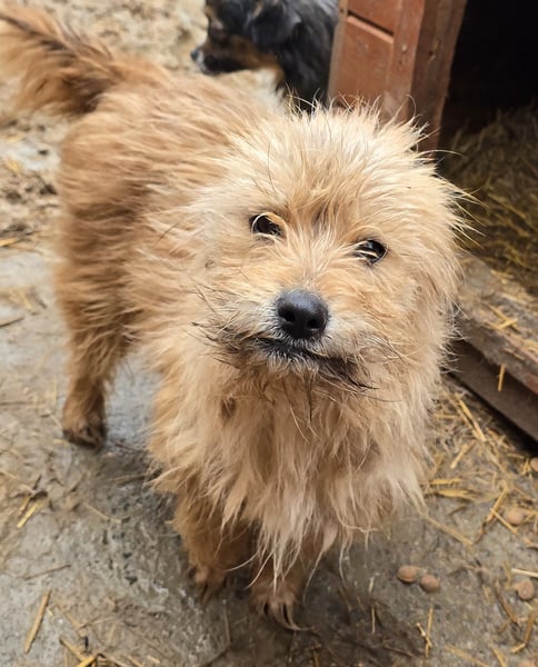 Betty - freundlich und neugierig