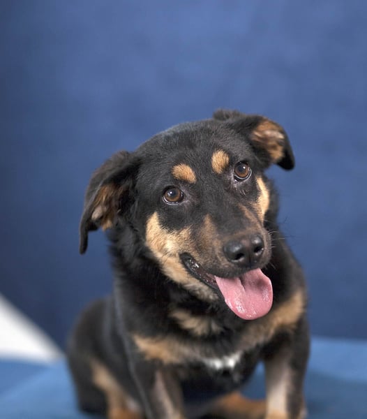 Kleine, schüchterne Rica sucht liebe Menschen