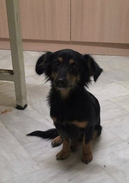 Aili ist bereit für ein neues Leben!