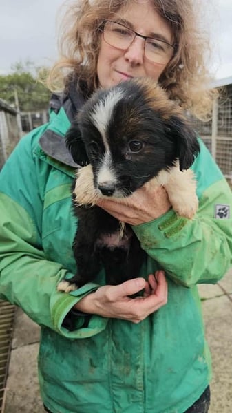 Greta bald auf Pflegestelle