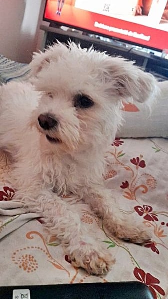 Timmy, freundlich und lieb