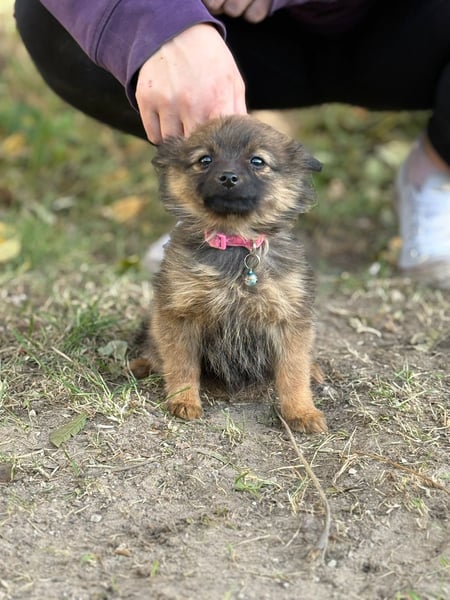 Winnie - möchte dich kennenlernen!