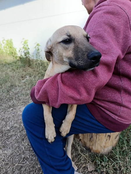 Fura - braucht dringend ein warmes Heim!