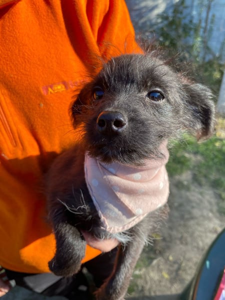 Yara LM – Kleine Entdeckerin sucht ihr Glück