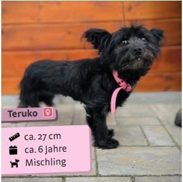 Teruko