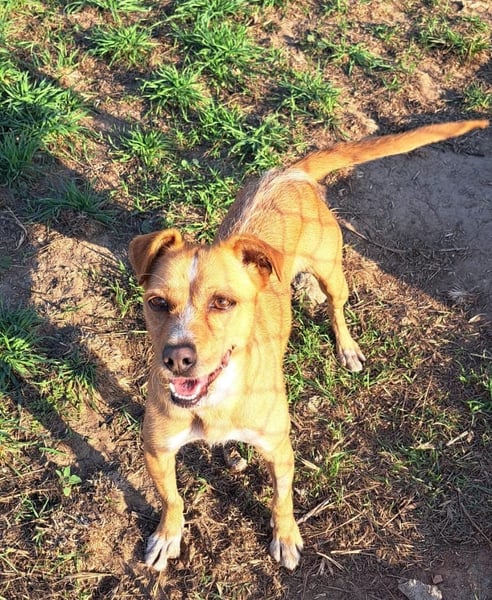 Kleine Melanie sucht ihre Menschen