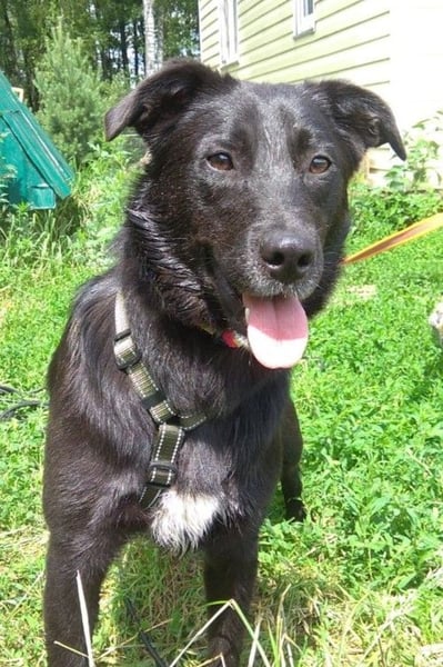 Niedliche MASHA sucht ein liebevolles Zuhause