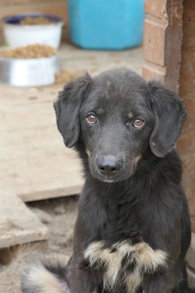 Amal sucht seine Menschen