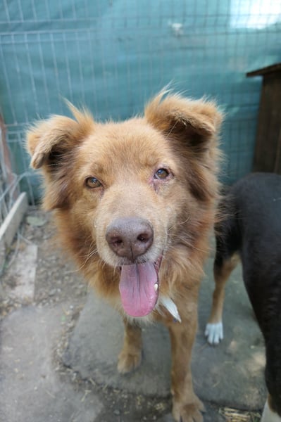 Kasper, wartet auf die lieben Menschen denen er vertrauen kann