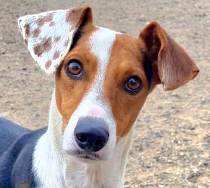 MANU-zauberhafter Bub voller Fröhlichkeit, Lebensfreude sucht seine liebevolle Für-immer-Familie