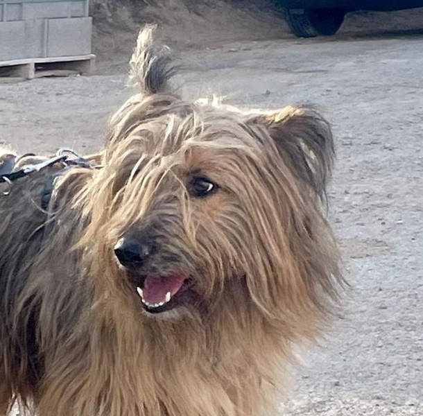 KINDER-sucht liebevolles Für-immer-Zuhause