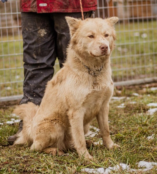 Iris, junge hübsche Lady sucht wieder ihre Familie auch mit Kindern
