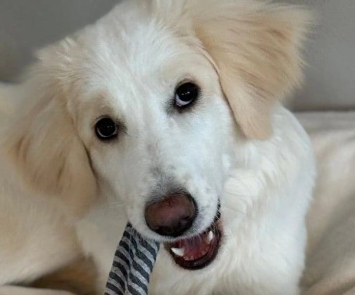 Liebe, sensible Kiki sucht ihre Familie