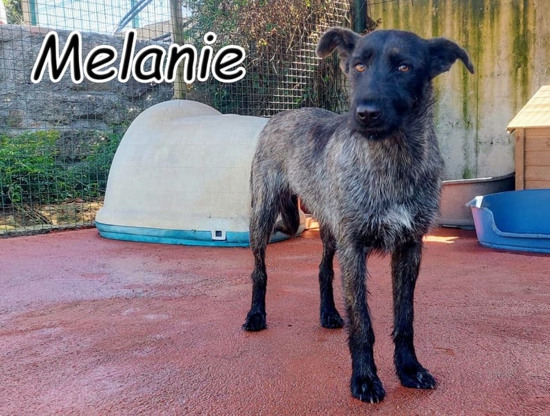 Zeigen Sie Melanie, dass es gute Menschen auf der Welt gibt?
