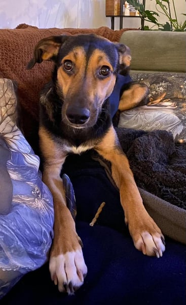 Jenna – bereit für ihr eigenes Zuhause