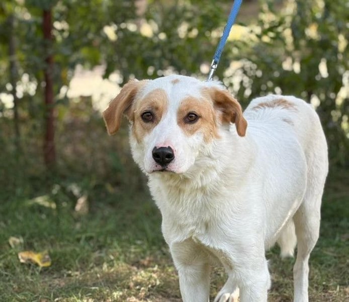 FALINA - Freundlich, kinderlieb und rundum verträglich!