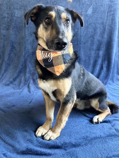 RANDOLF - Ein fröhlicher Sonnenschein mit kleinem Rucksack sucht Menschen, die ihn verstehen