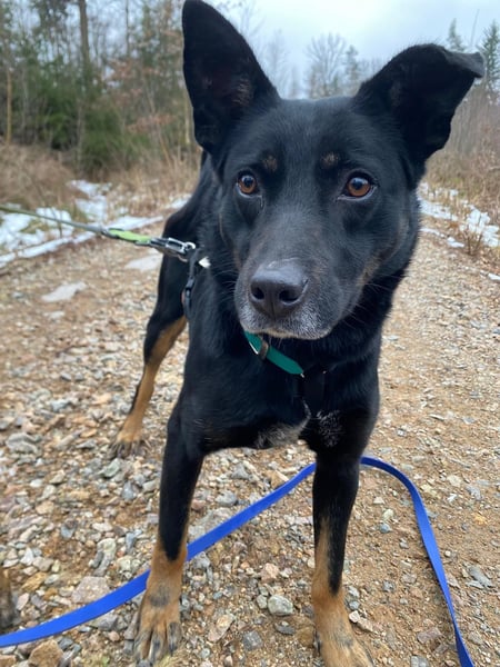 Alora sucht sportliche Menschen