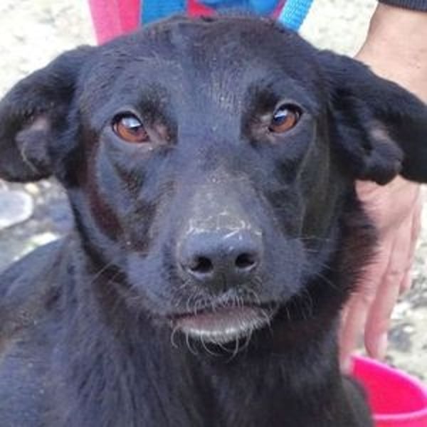 LULU wäre so gerne Teil einer Familie