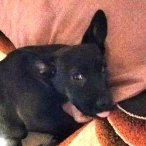 NINA 2 ist ei  Schnuckelchen