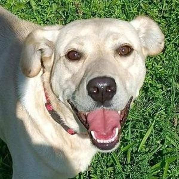 REXI ist ein Goldschatz