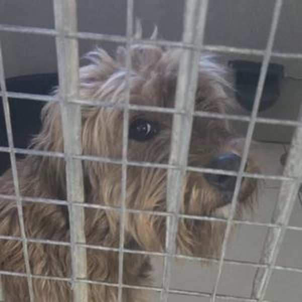 LUNA schwebt in Lebensgefahr