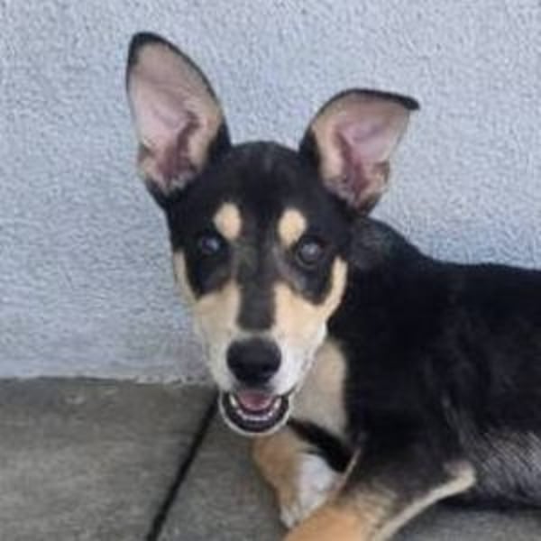 PEPE ,freundlich und verträglich