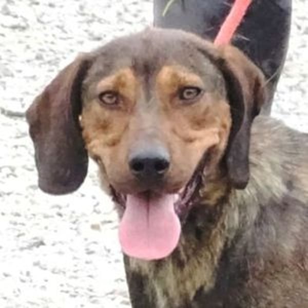 DONNIE braucht Lebensretter