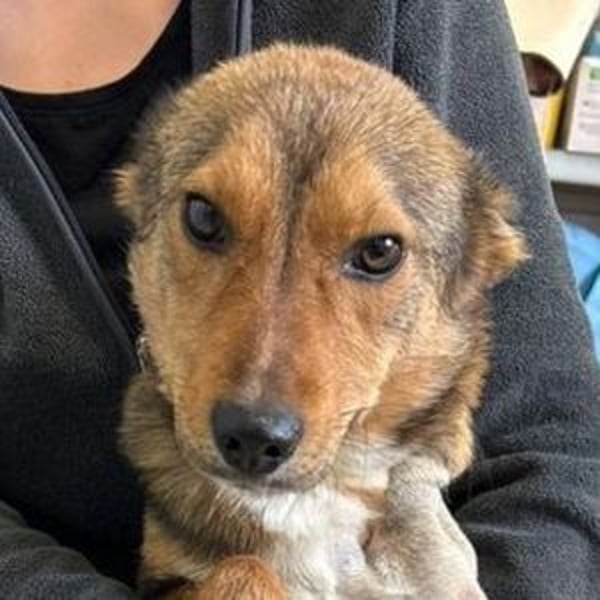 SADY ist einfach bezaubernd