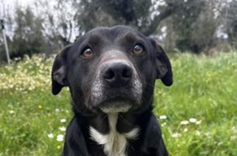 Yin und Yang, ein eng verbundenes Mutter Tochter Gespann