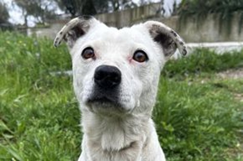 Yin und Yang, ein eng verbundenes Mutter Tochter Gespann