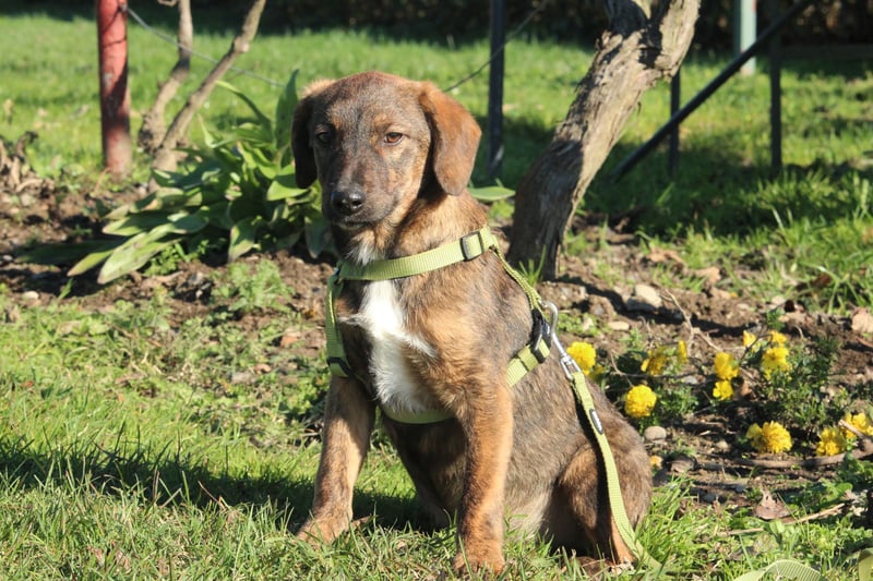 Fynn sucht sein Glück...