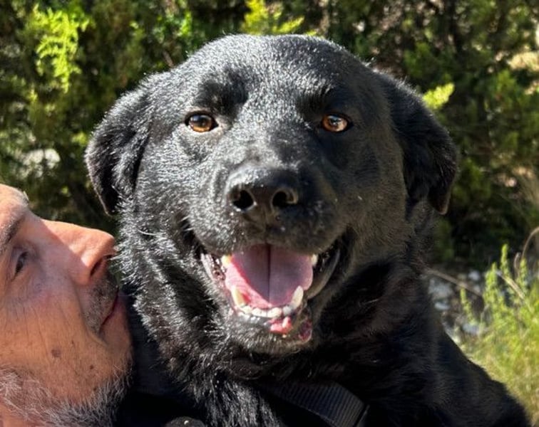 Bruce ❤️ Sanftmütig, loyal, verschmust!