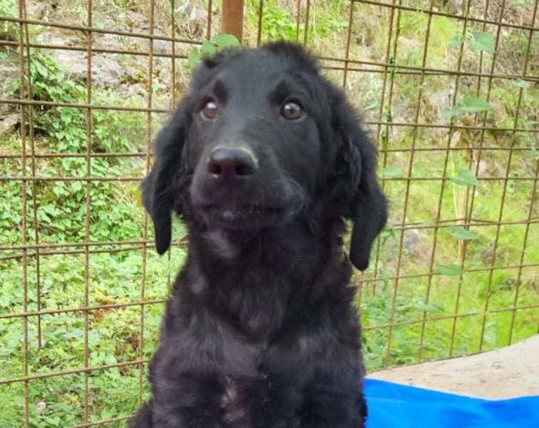 Yuki ❤️ froher, aufgeschlossener Bub!