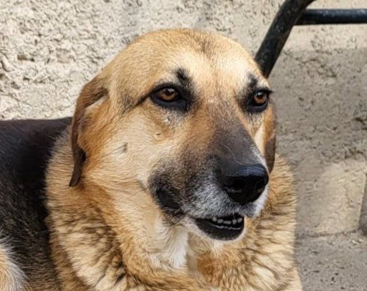 Bezaubernde Sersi wartet auf Dich!