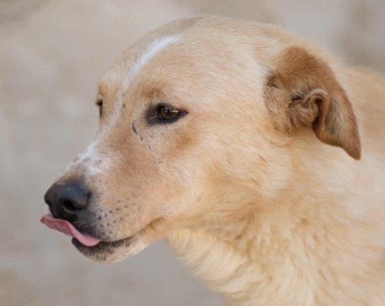 Bob wartet sehnsüchtig auf deine Anfrage