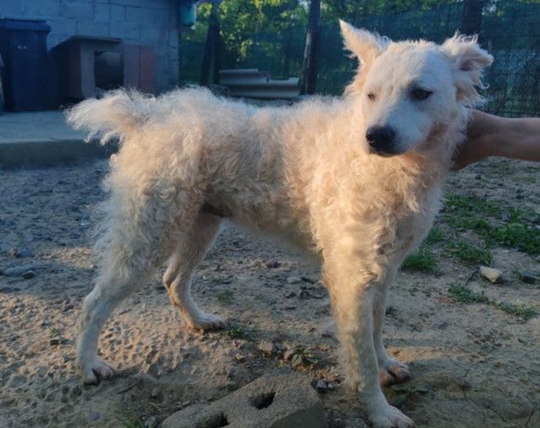 Sensible Jody ♥️ sucht Liebe & Verständnis