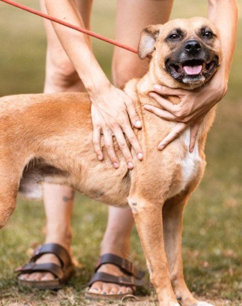 Teddy  wartet schon so lange!