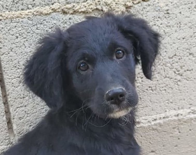 Mila ❤️ so süßes + lebensfrohes Mädchen!