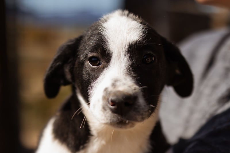 Kleine EMMY❤️ein zuckersüßes Energiebündel und voller Lebensfreude