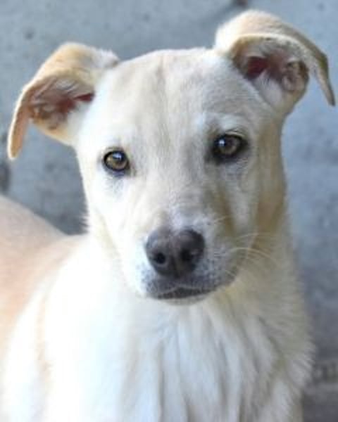 laro - gesucht: ein Post-it mit "Sicherheit"