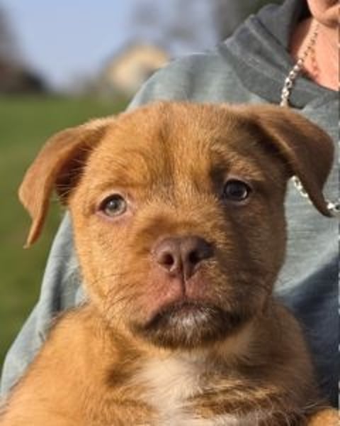 Linou - Also ehrlich, wir sind doch nur Babys!