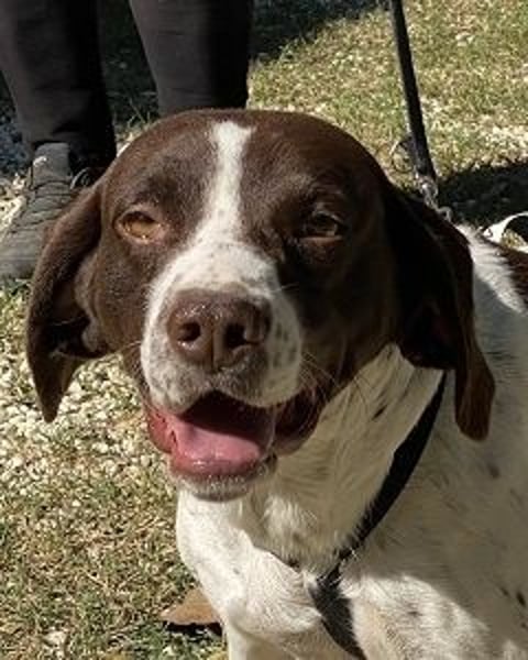 Sandro - Liebster Freigeist sucht Familie (gerne mit Kindern)