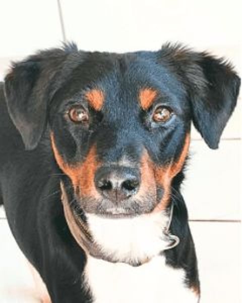 Zelia - Menschen zum Lachen bringen, das ist der Plan