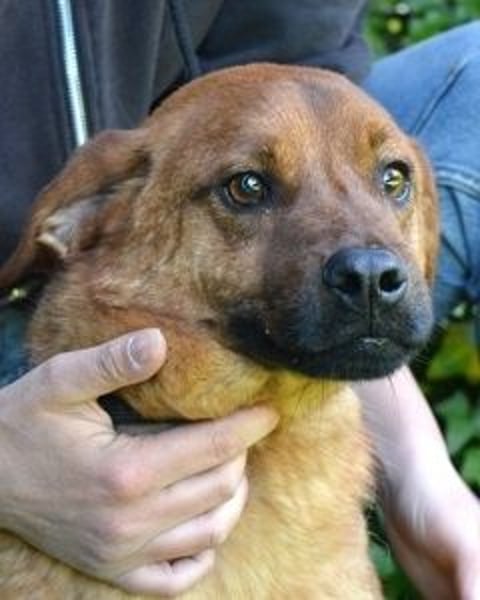 Monaldo - In der Ruhe liegt die Kraft!