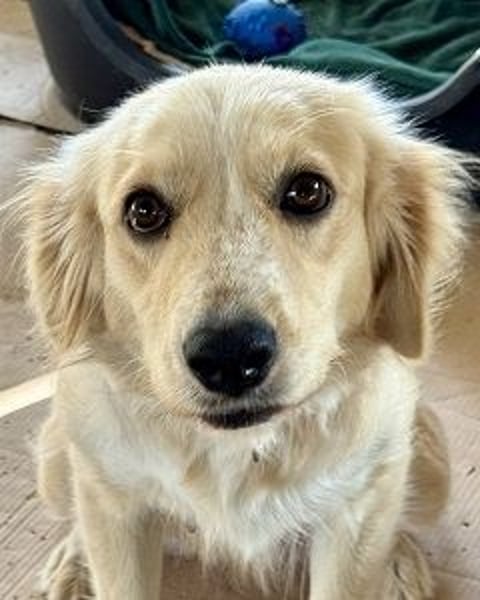 Demy - Das Leben könnte so schön sein!