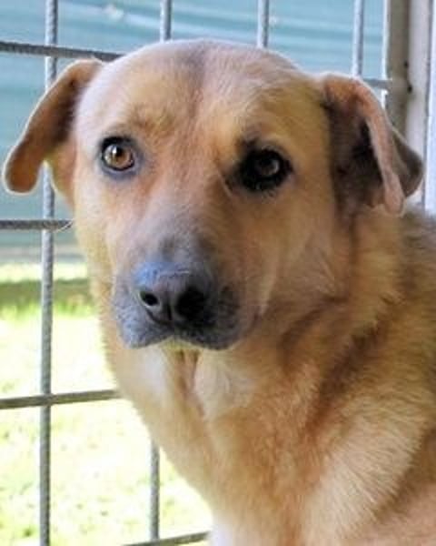 Alphonza - "...alles Gedeihen beruht auf Geduld..."